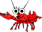 garnele