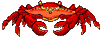 krabbe