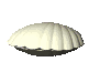 oyster-pearl