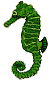 seepferd