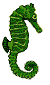 seepferd2