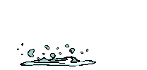 sprungfisch