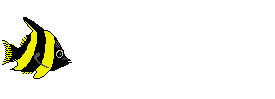 zebrafish